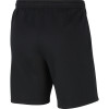 Nike Fleece Park 20 Short