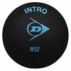 Dunlop Intro Squash Balls (Box of x12)