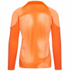 Nike Gardien IV GK Jersey (Long Sleeve) - Safety Orange/Orange Trance/Black