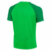 Nike Academy Pro Training Shirt