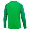 Nike Academy Pro Drill Top - Green Spark/Lucky Green/White