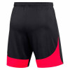 Nike Academy Pro Short