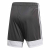 adidas Tastigo 19 Shorts - Dgh Solid Grey/White