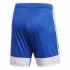 adidas Tastigo 19 Shorts - Bold Blue/White