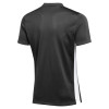 Nike Challenge V Jersey (Short Sleeve)