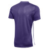 Nike Park Derby IV Jersey (Short Sleeve)