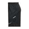 Nike Academy 25 Knit Shorts