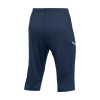 Nike Academy 25 3/4 Pants