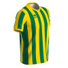 Errea Strip Shirt