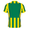 Errea Strip Shirt