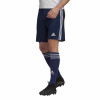 adidas Squadra 21 Shorts