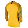 Nike Gardien II GK Jersey Long Sleeve