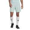 adidas Entrada 22 Short