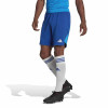 adidas Tiro 23 Pro Goalkeeper Shorts - Team Royal Blue/Blue Rush