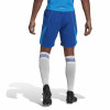 adidas Tiro 23 Pro Goalkeeper Shorts - Team Royal Blue/Blue Rush