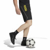 adidas Tiro 23 Competition Training Shorts