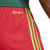 adidas Tiro 23 League Shorts