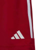 adidas Tiro 23 Competition Match Shorts