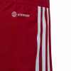 adidas Tiro 23 Competition Match Shorts