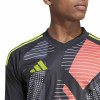 adidas Tiro 24 Competition GK Jersey (Long Sleeve)