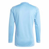 adidas Tiro 24 Competition GK Jersey (Long Sleeve)