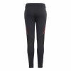 adidas Tiro 24 Competition Training Pant