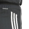 adidas Womens Tiro 25 Competition DT Shorts