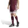 adidas Squadra 25 Shorts