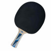 DONIC Legends 700 Table Tennis Paddle