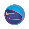 Nike Swoosh Skills Basketball