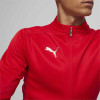 Puma Team Final Training Jacket