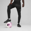 Puma Team Final Training Pants