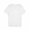 Puma Team Goal Casuals Tee