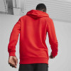 Puma Team Goal Casuals Hoody