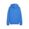 Puma Team Goal Casuals Hoody