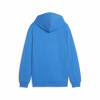 Puma Team Goal Casuals Hoody