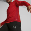 Puma Team Goal Training 1/4 Zip Top