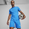 Puma Team Final Jersey