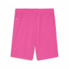 Puma Womens Team Goal Shorts