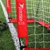 Precision Flexi Net Goal