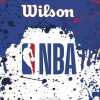 Wilson NBA Mini Hoop