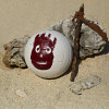 Wilson Mr Wilson (Cast Away) Mini Volleyball