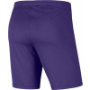 Nike Park III Short