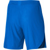 Nike ADV Vapor IV Knit Shorts