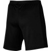 Nike Academy 23 Knit Shorts