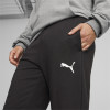 Puma Team Goal Casuals Pants