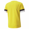 Puma Team Rise Jersey