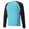 Puma Team Pacer GK Jersey