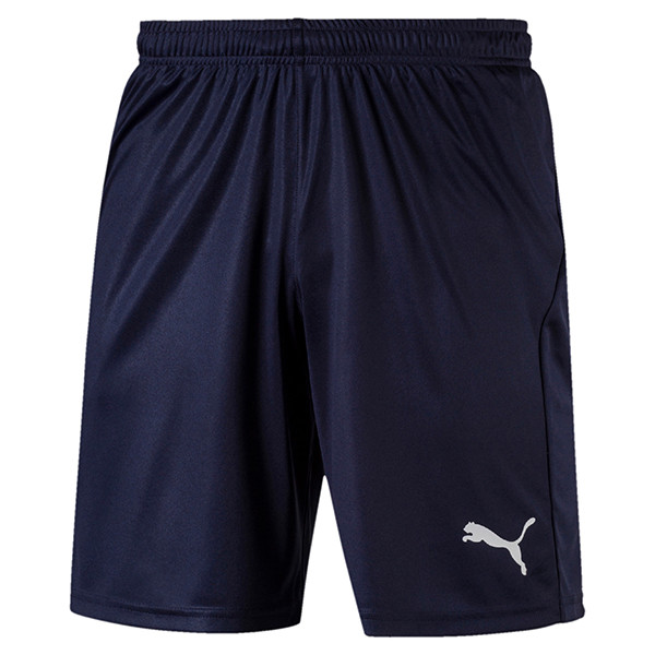 Puma liga cheap shorts