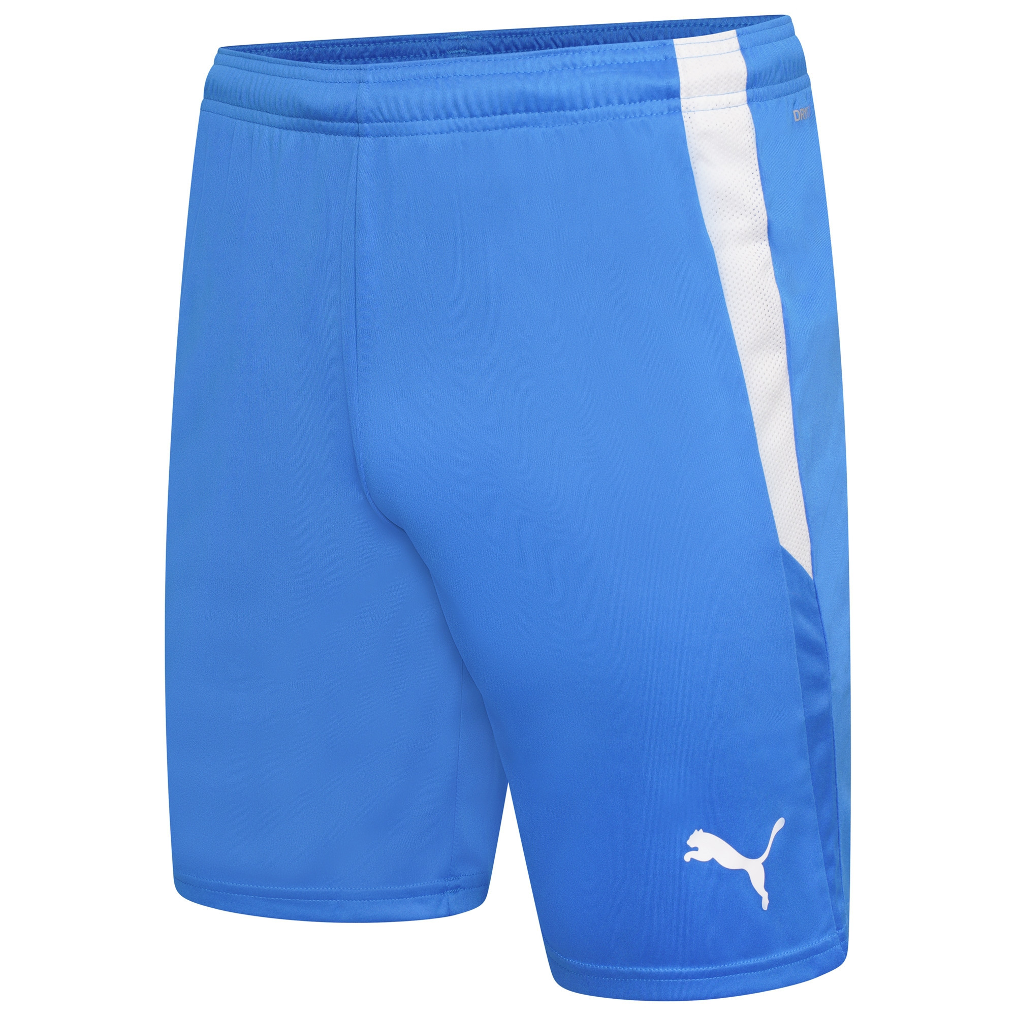 3Q Sports - Puma Team Liga Shorts